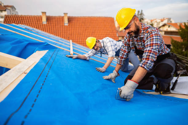 Roof Gutter Cleaning in Del Norte, CO